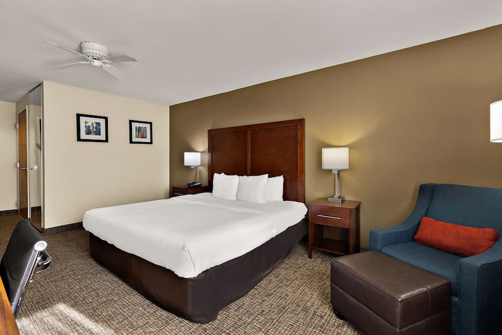 Deluxe Room, 1 King Bed, Non Smoking, Refrigerator & Microwave - Photo 2