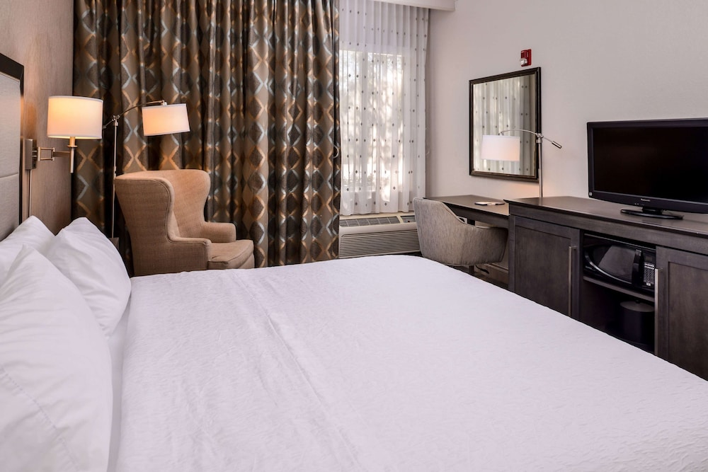 Room, 1 King Bed, Accessible, Non Smoking (Roll-in Shower) - Photo 9