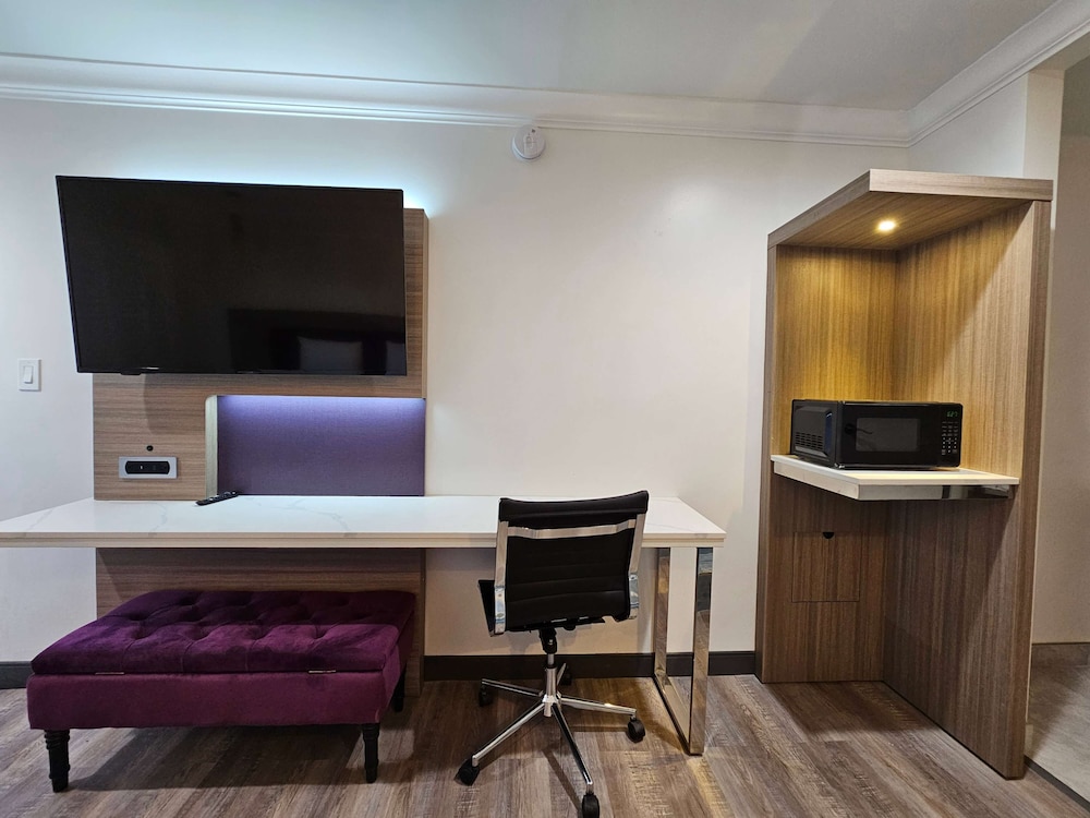 Suite, 1 King Bed, Non Smoking - Photo 4