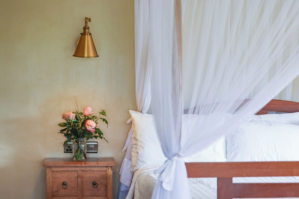 Deluxe Room photo 3