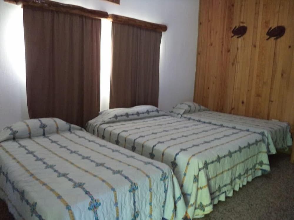 Quadruple Room, Multiple Beds photo 1