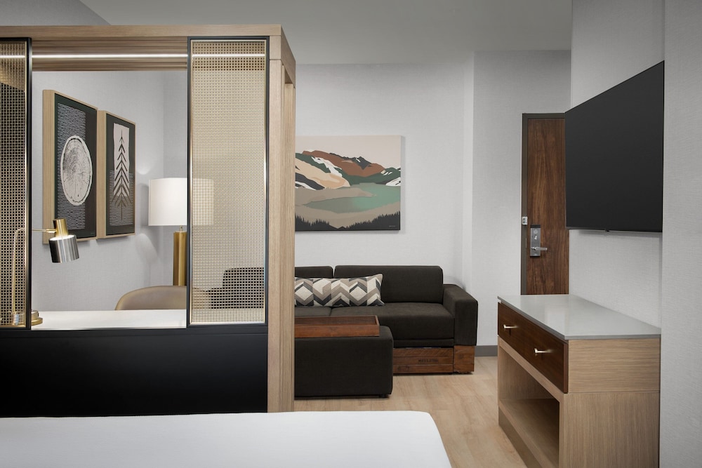 Studio, 1 King Bed with Sofa bed (Mobility Accessible, Roll-In Shower) photo 2