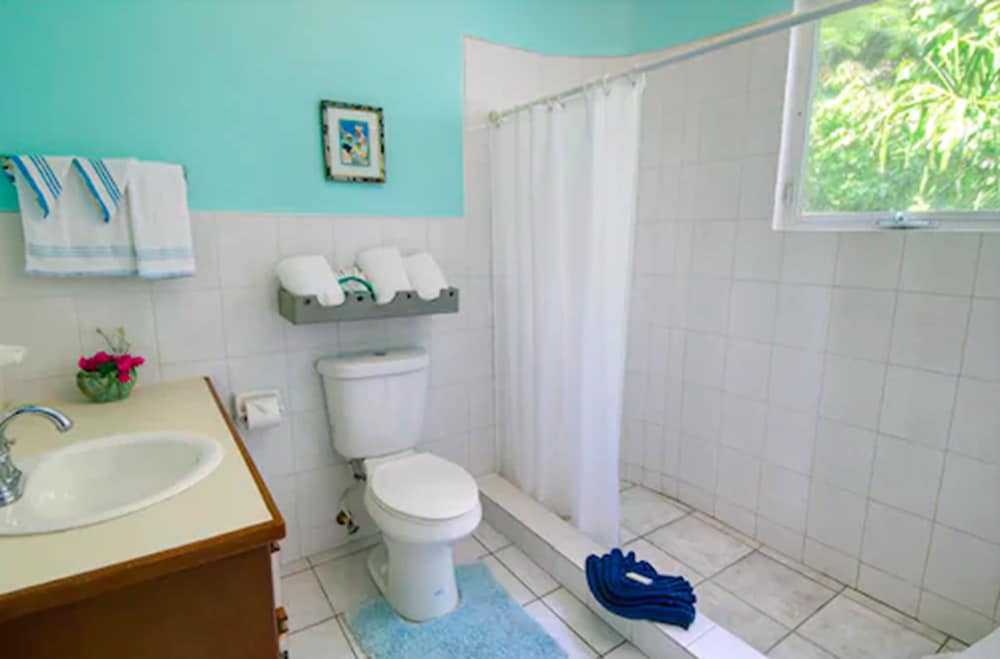 Single Room (Suite) photo 2