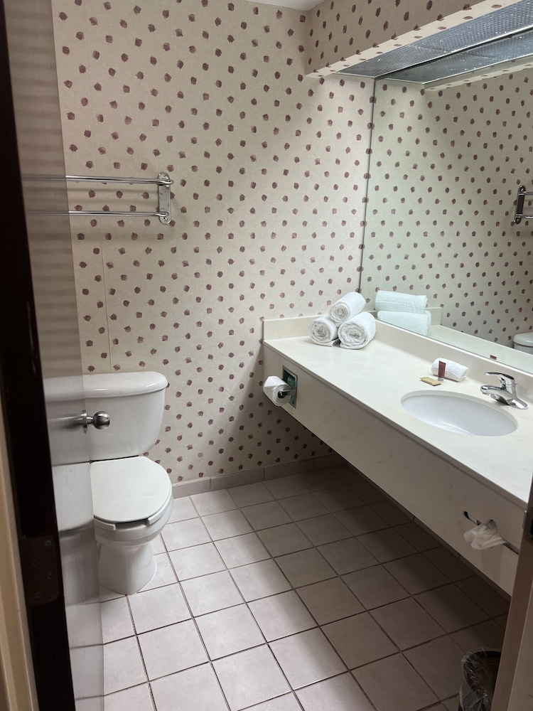 Orlando Palms Hotel, 사진 5