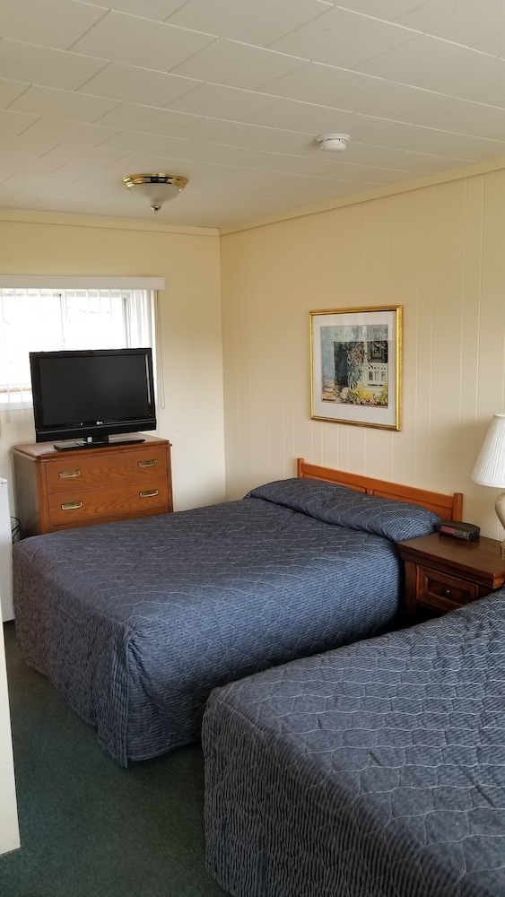 Traditional Room, Multiple Beds photo 1