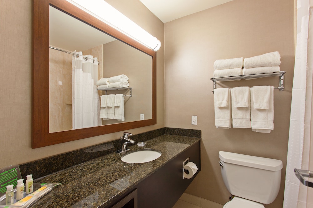 Suite, 1 King Bed - Photo 5