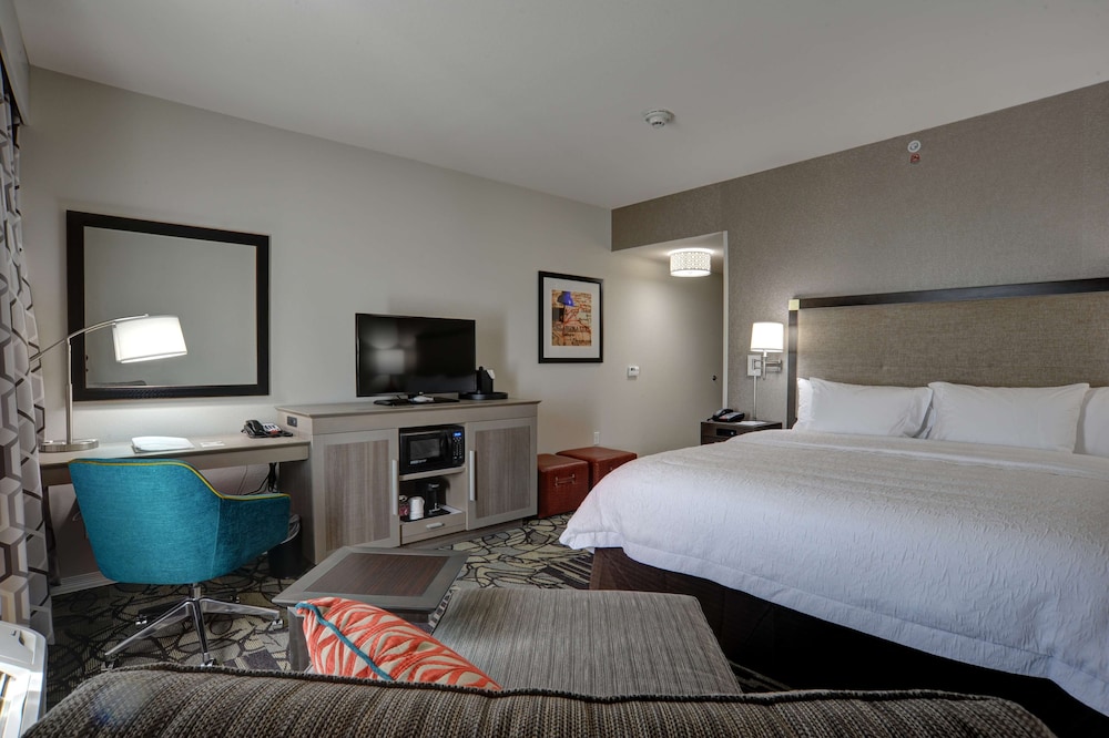 Studio, 1 King Bed, Accessible, Non Smoking (Roll In Shower) photo 2