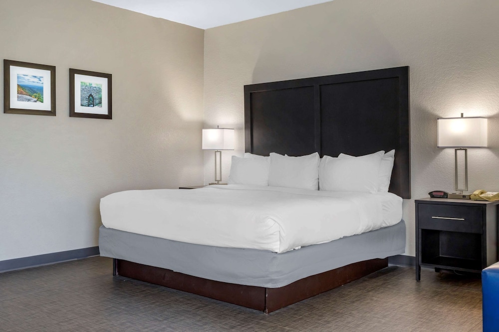 Deluxe Suite, 1 King Bed with Sofa bed, Non Smoking - Photo 10