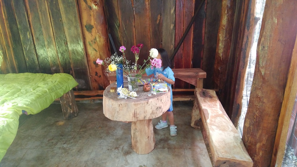 Cabin photo 1