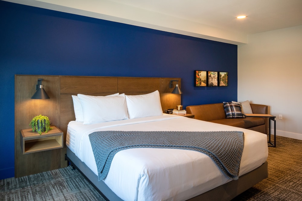 Room, 1 King Bed with Sofa bed, Accessible photo 3
