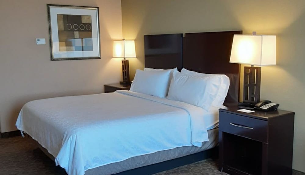Suite, 1 King Bed With Sofa Bed, Accessible (Mobility, Accessible Tub) photo 1