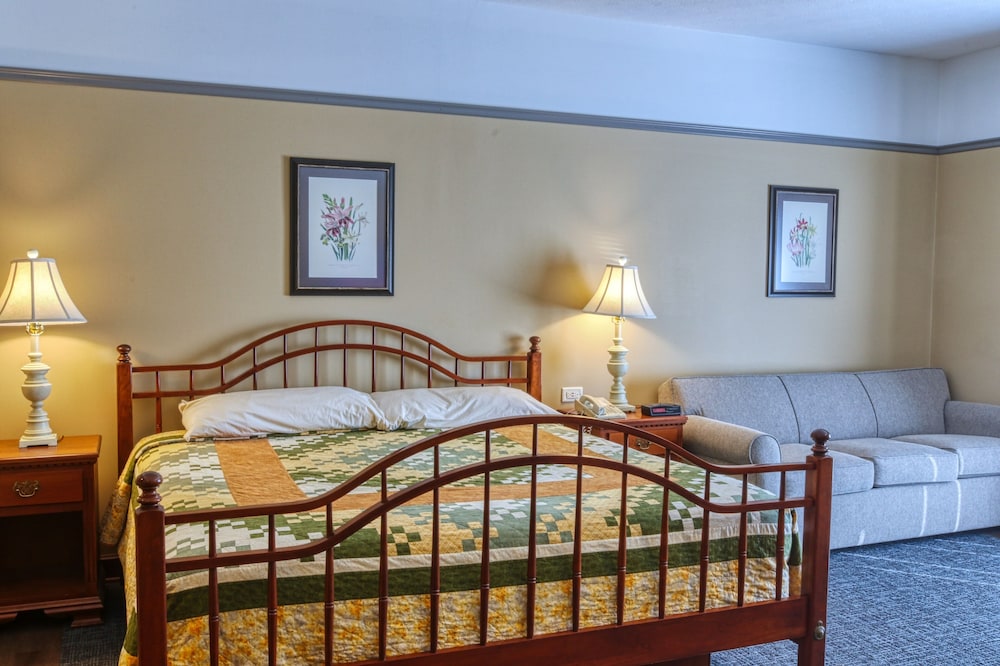 Standard Room, 1 King Bed with Sofa bed photo 2