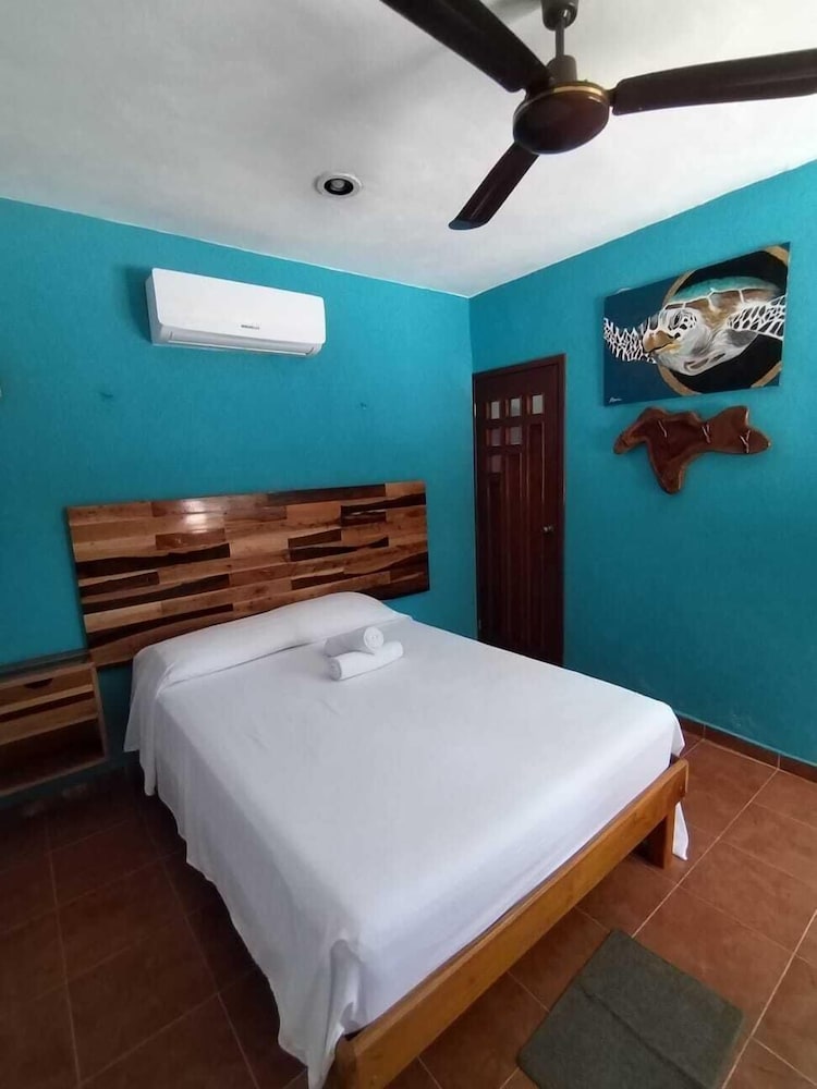 Basic Single Room