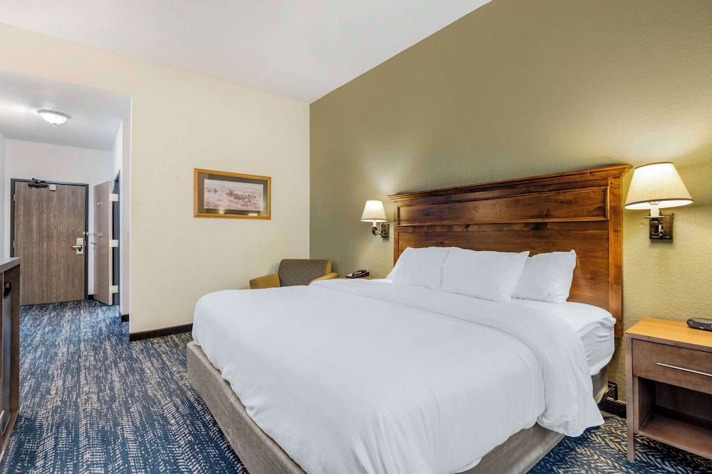 Room, 1 King Bed, Accessible - Photo 5