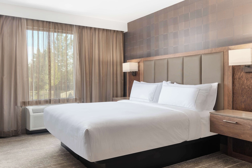 Suite, 1 King Bed - Photo 2