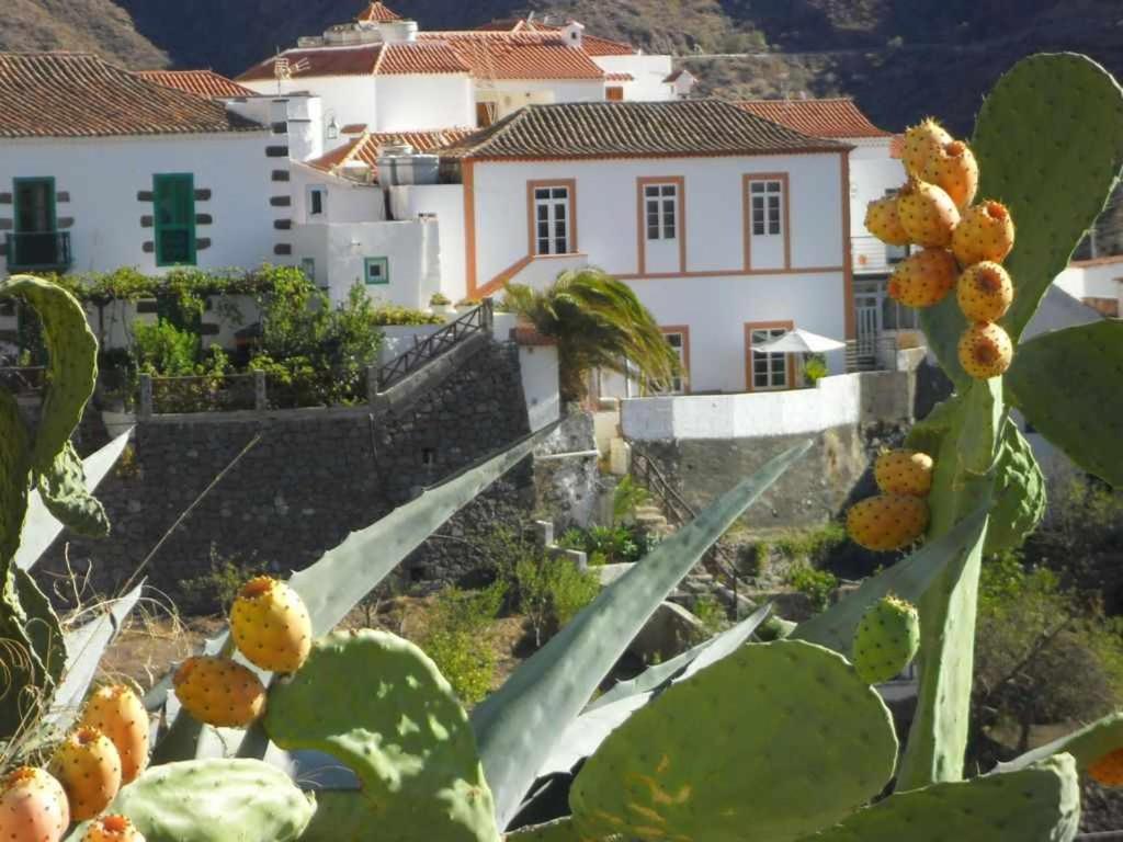 Country House - Two Bedrooms