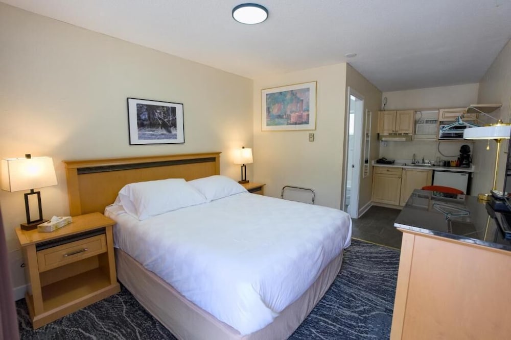 Standard Single Room, 1 Queen Bed, Non Smoking, Mountain View photo 1