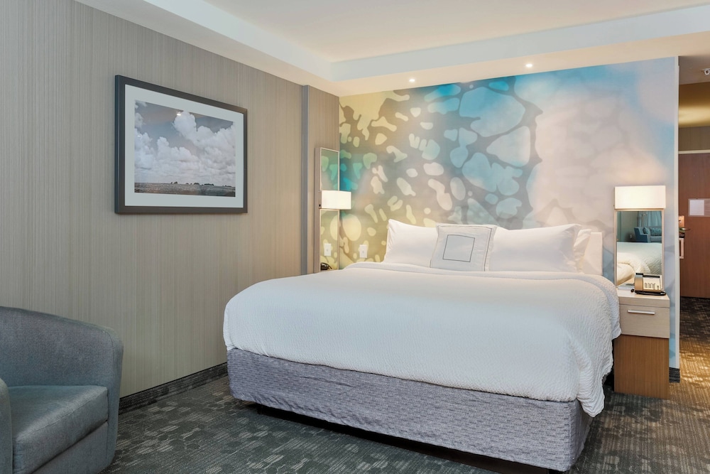 Suite, 1 King Bed with Sofa bed (Hearing Accessible) photo 1