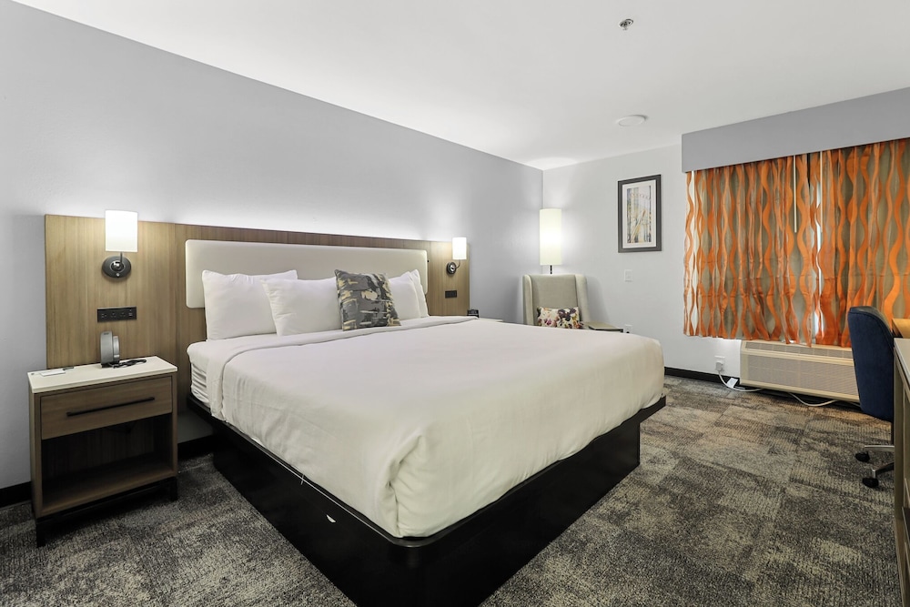 Room, 1 King Bed, Non Smoking - Photo 5