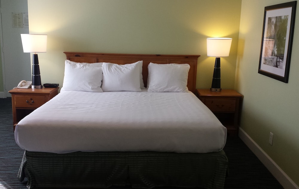 Room, 1 King Bed - Photo 2