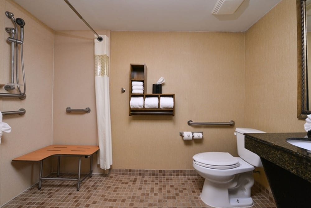 1 King Bed Mobility Accessible Roll-In Shower Studio Suite - Photo 5