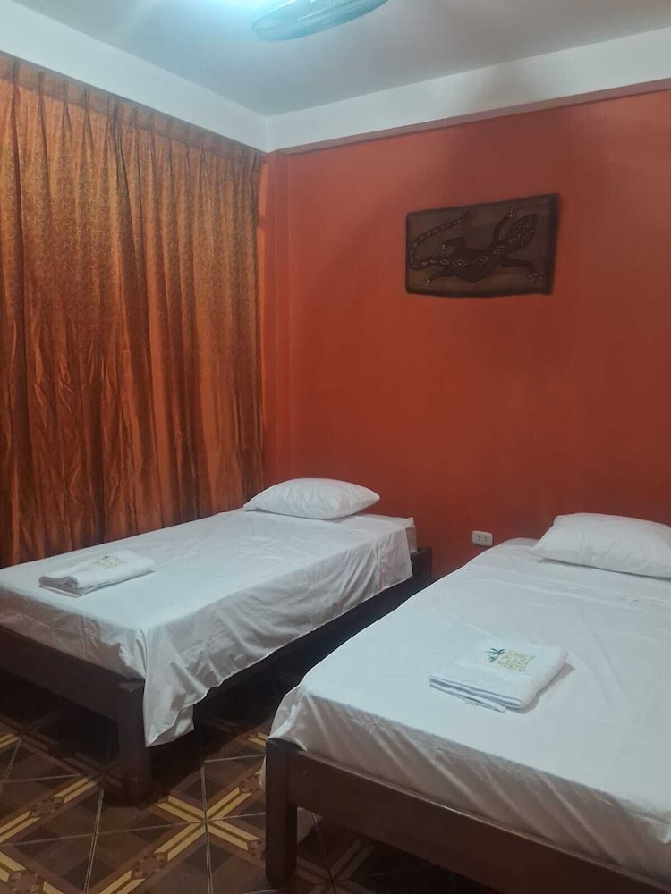 Twin Room photo 1
