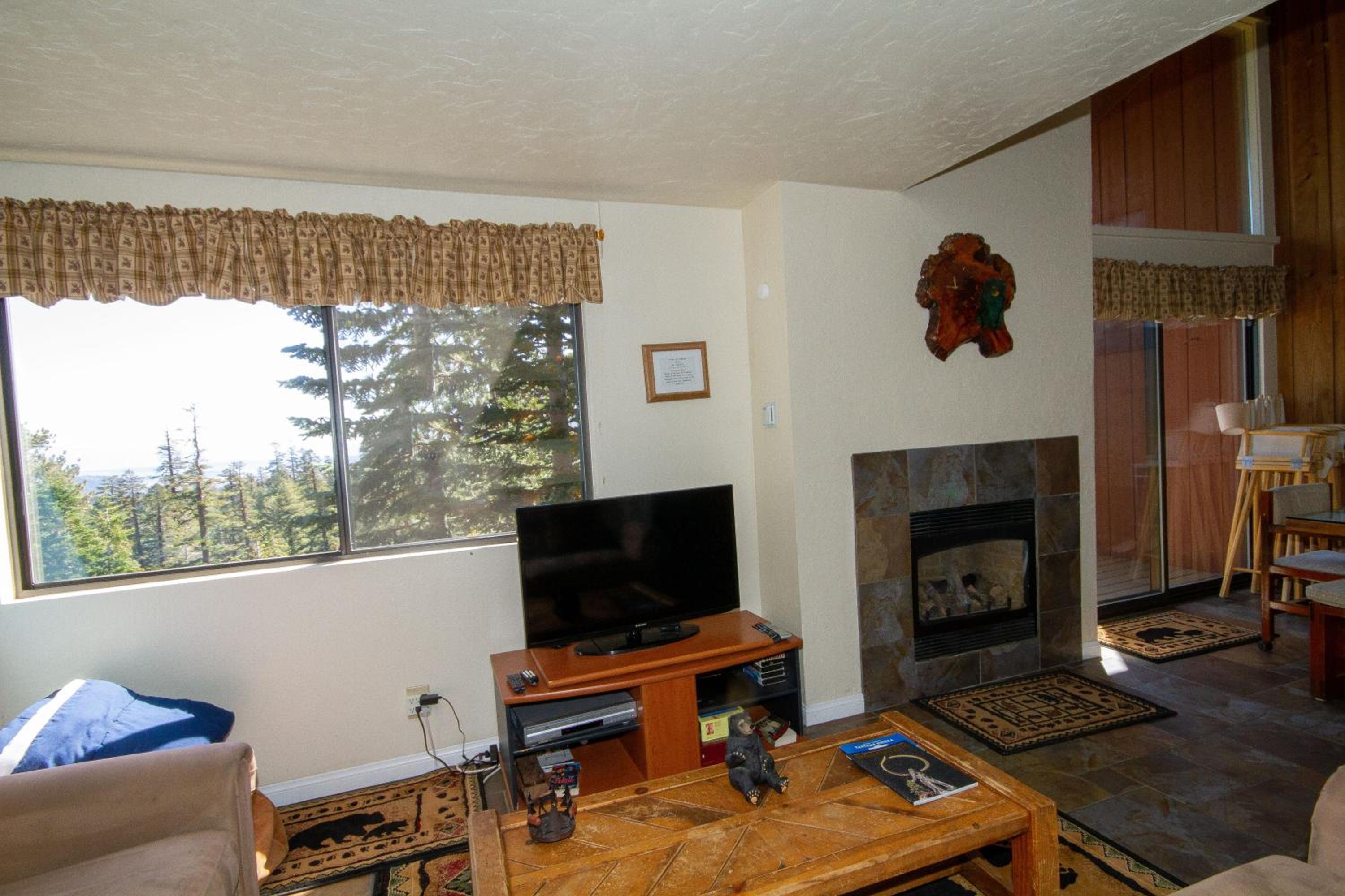 Apartment photo 1