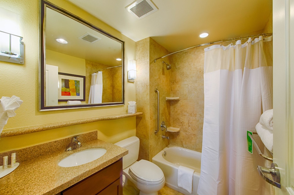 Studio Suite, Multiple Beds thumbnail 6