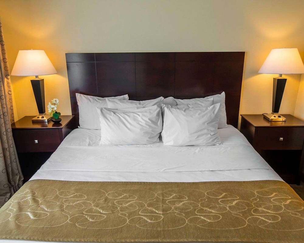 Suite, 1 King Bed with Sofa bed, Non Smoking (Pet Friendly) - Photo 2