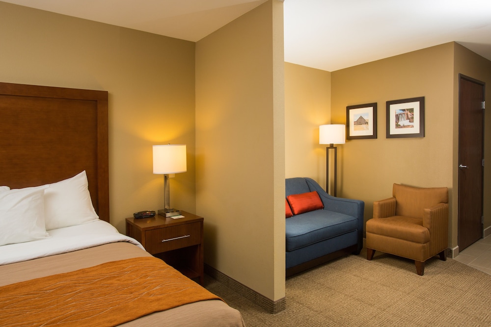 Suite, 1 King Bed with Sofa bed photo 1