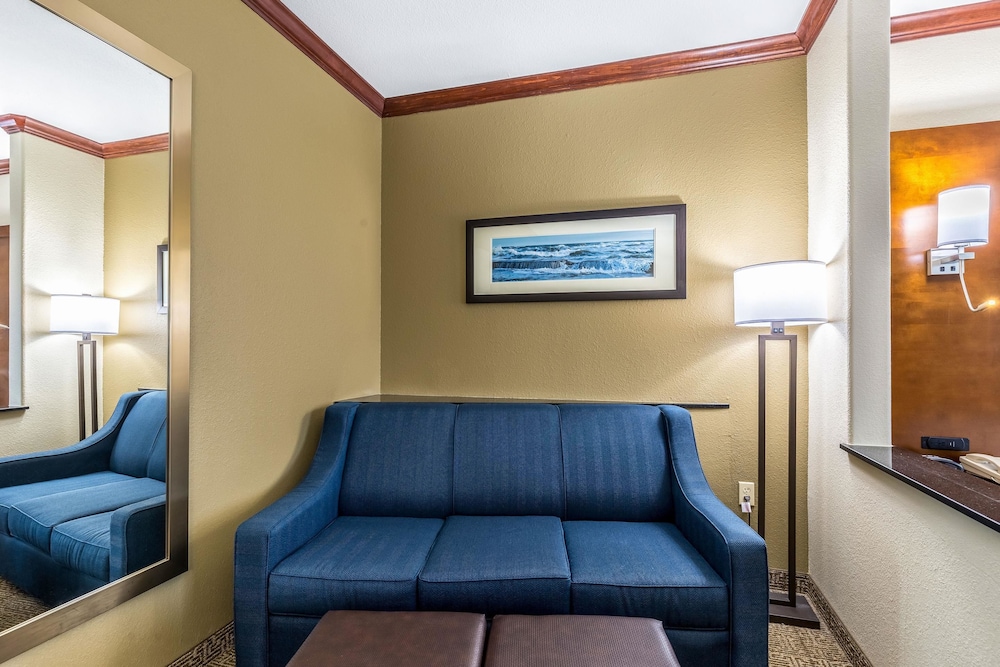 Standard Suite, 1 King Bed, Non Smoking photo 3