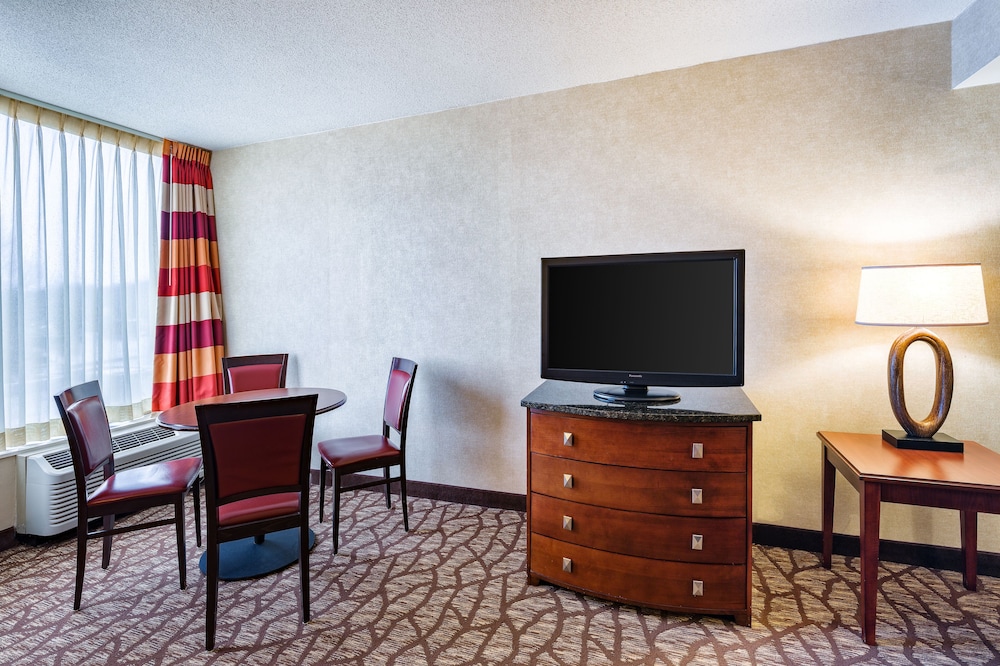 Suite, 1 Bedroom photo 2