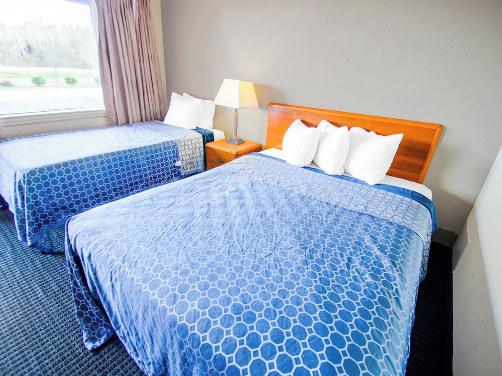 Single Room, 2 Twin Beds photo 1