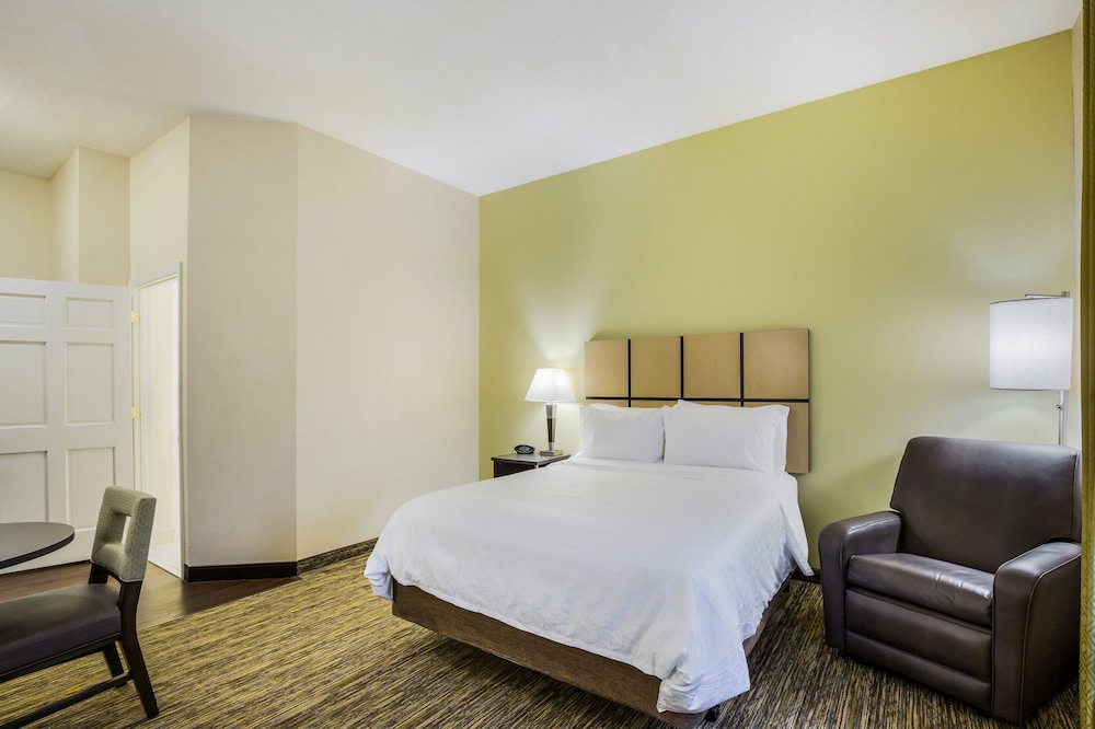 Studio Suite, 1 King Bed - Photo 6