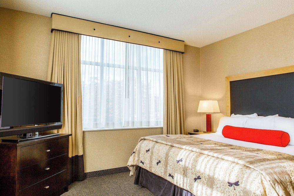 Executive Suite, 1 King Bed with Sofa bed, Non Smoking - Photo 1