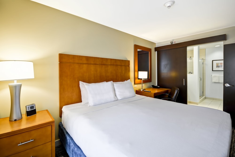 Studio Suite, 1 King Bed with Sofa bed photo 2