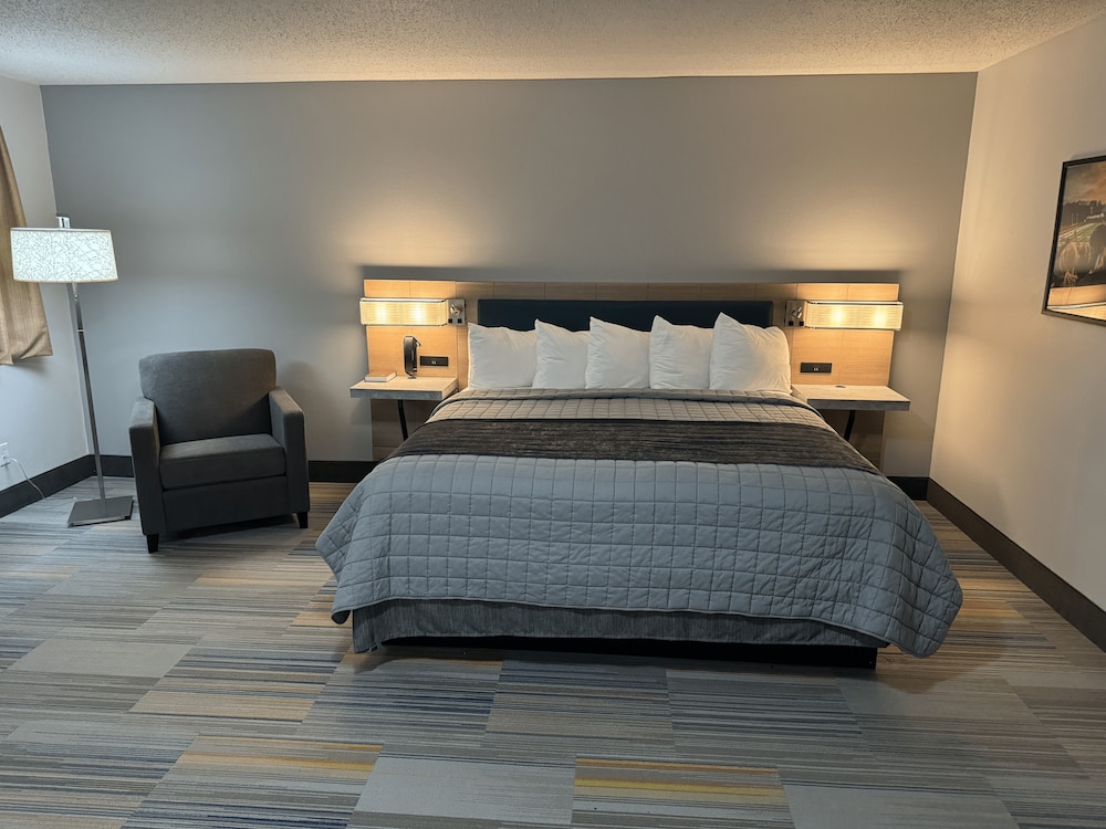 Standard Single Room - Photo 6