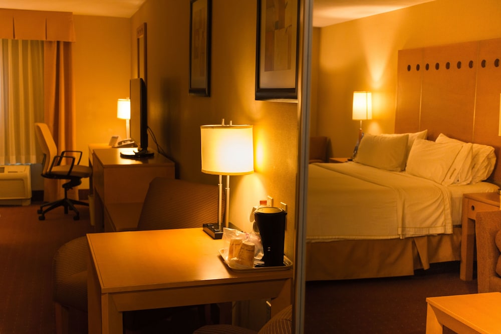 Suite, 1 King Bed - Photo 4