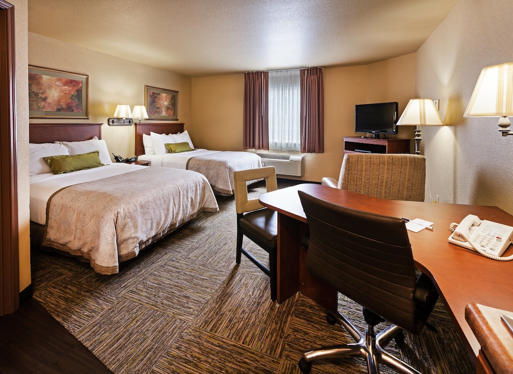 Studio Suite, 2 Double Beds (Low Floor) - Photo 1