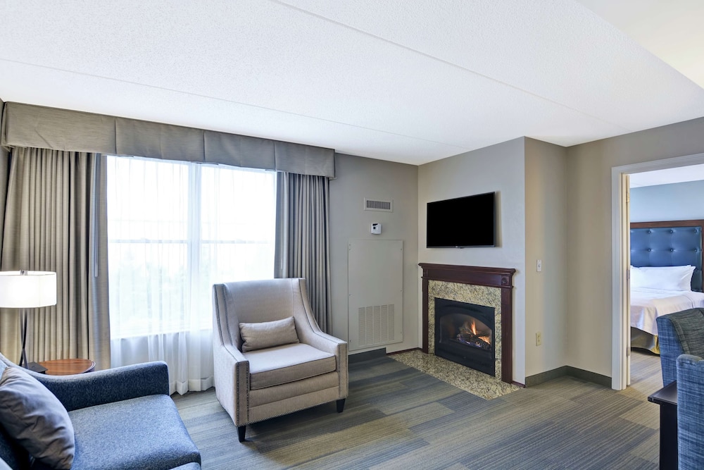 Premium Suite, 1 King Bed, Fireplace photo 2