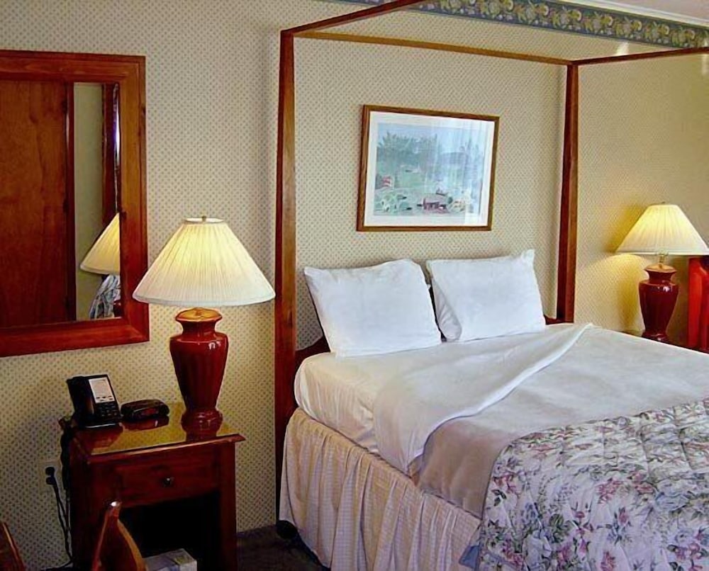 Basic Room, 1 Queen Bed photo 1