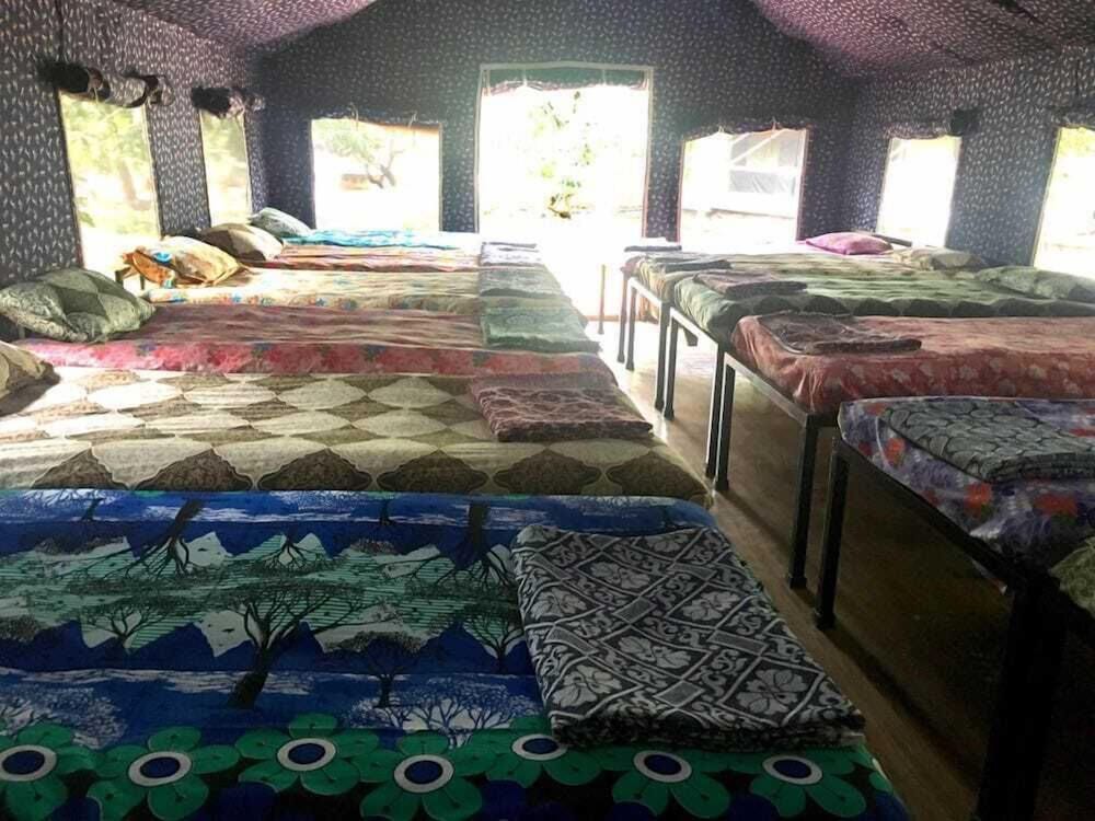 Premium Shared Dormitory