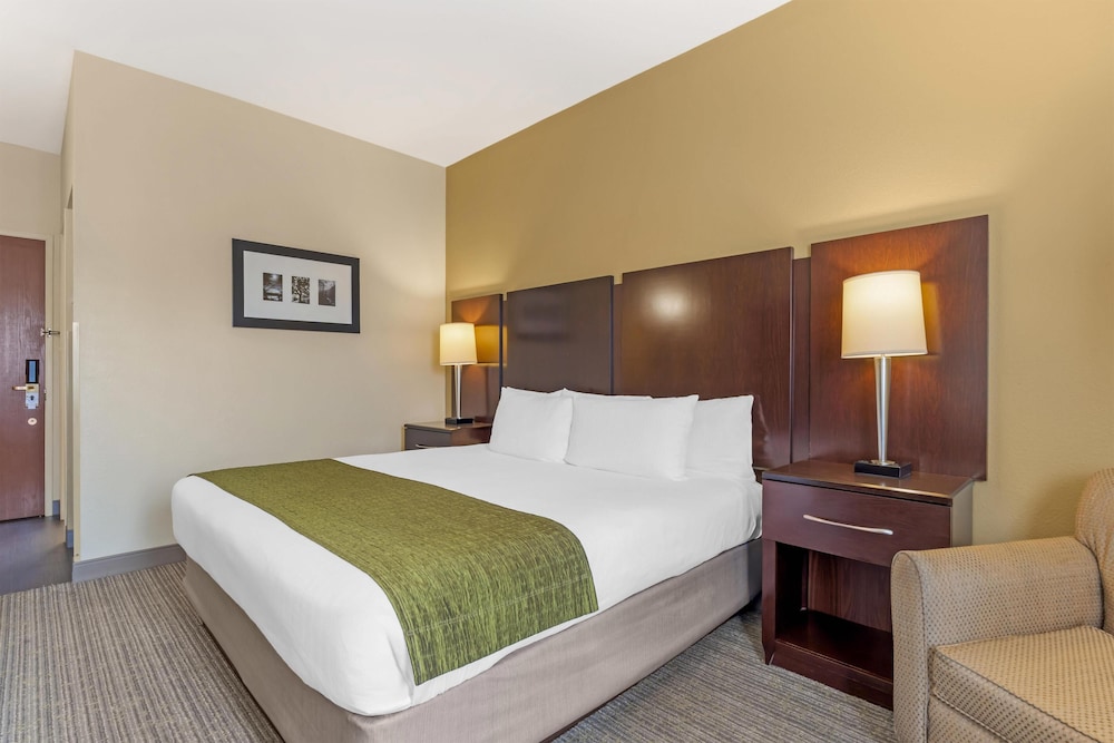 Standard Room, 1 King Bed, Non Smoking, Refrigerator photo 2