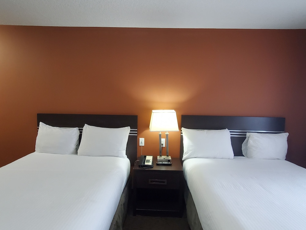 Basic Double Room, 2 Double Beds, City View photo 3