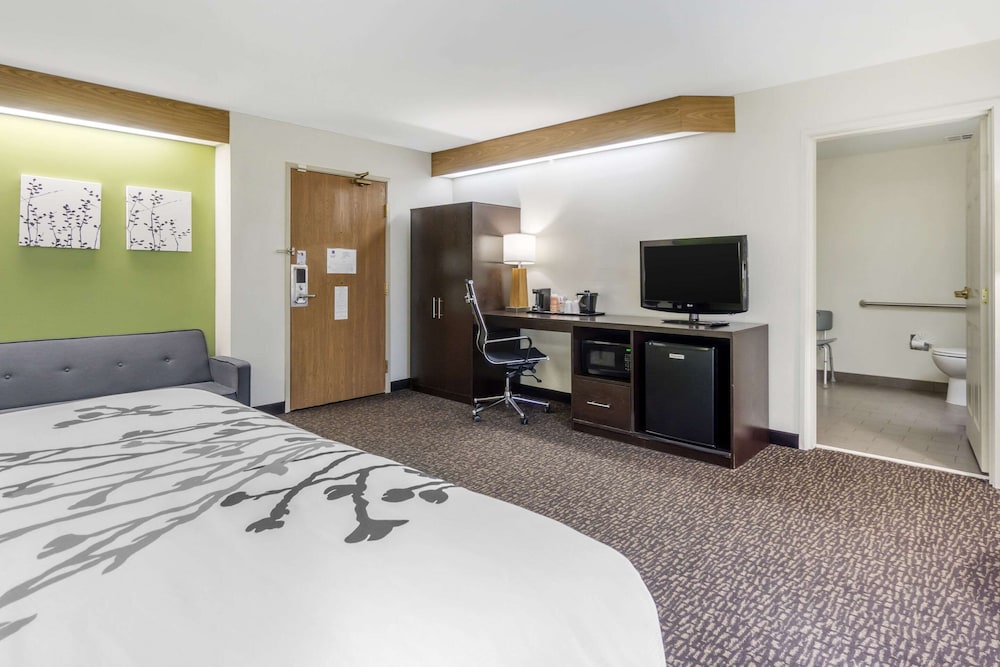 Suite, 1 King Bed with Sofa bed, Accessible, Non Smoking - Photo 3