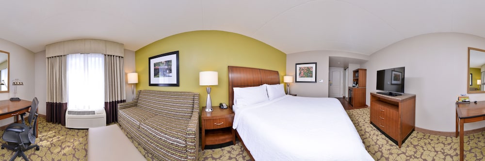 Room, 1 King Bed with Sofa bed