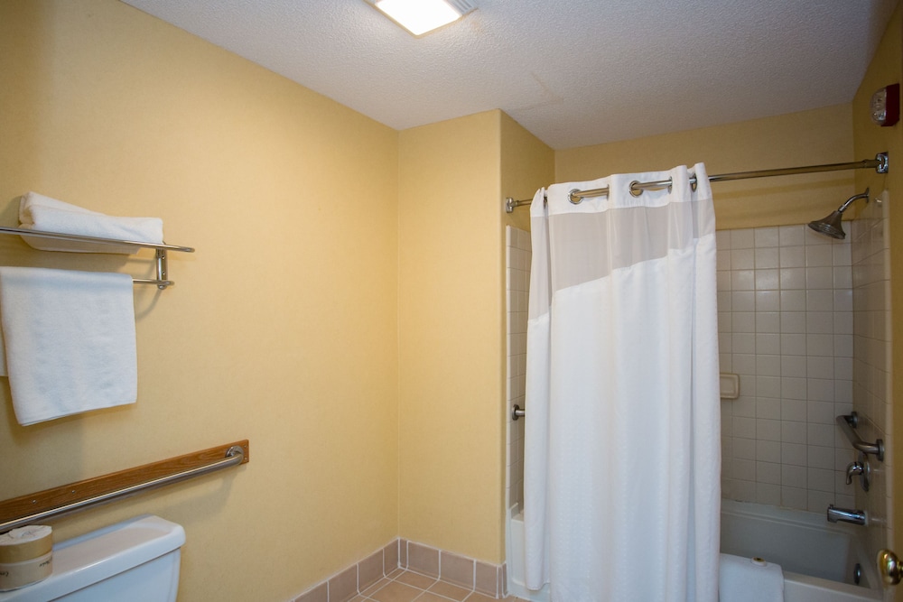 Standard Double Room - Photo 6