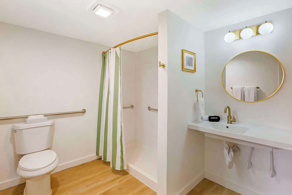 Standard Room, 1 King Bed, Accessible, Refrigerator & Microwave (Pet Friendly) - Photo 4