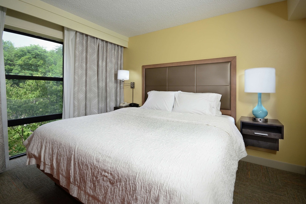 Suite, 1 King Bed, Non Smoking (Shower Only) photo 2