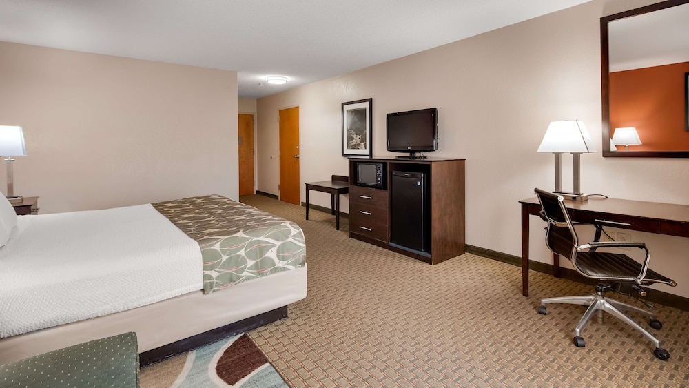 Standard Room, 1 Queen Bed, Non Smoking, Refrigerator & Microwave photo 1